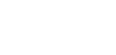 Smart Stone Logo
